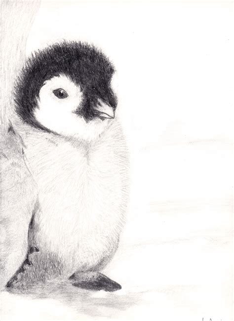 I promise you that in this really simple tutorial you will learn how to draw a penguin. Baby Penguin Drawing by PathofTheAwesomePie on DeviantArt