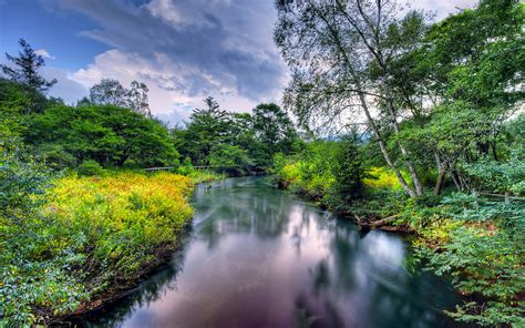 River In Summer Coast Trees Meadow Flowers Nature Landscape Wallpaper