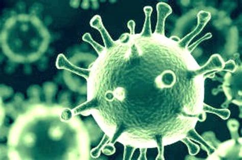 Die seltenen nebenwirkungen kurz erklärt. Coronavirus im Kanton Zürich - Sehr grosses Interesse an ...