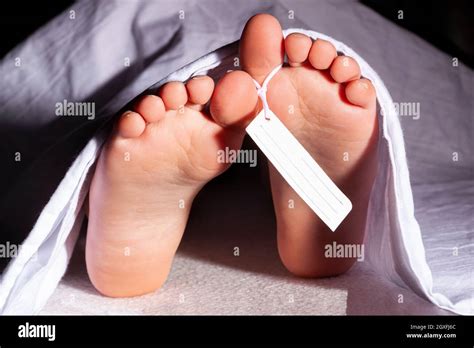 Body Of Dead Person In Morgue Hi Res Stock Photography And Images Alamy