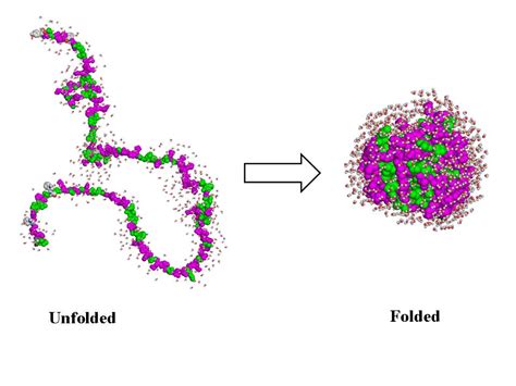 Protein Folding And Degradation 100 Best Explanation