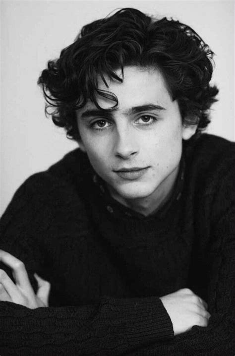 Timothée Chalamet You Did A Great Job Profile Photographs