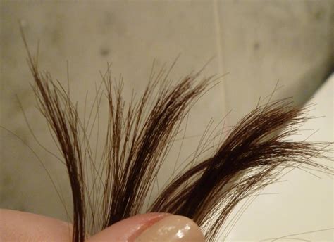 Hair Split Ends Treatment How To Prevent Split Ends Using