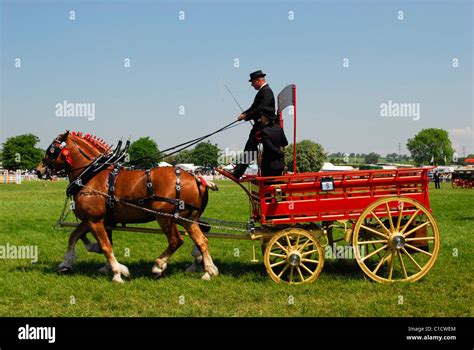 Brewers Dray At An Agricultural Show In Somerset Traditional Dray To