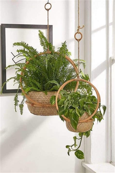 60 Impressive And Simple Indoor Hanging Plants Ideas For Your Home