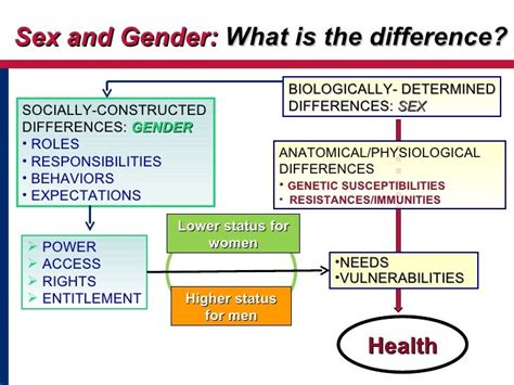 Sex And Gender What Is The Difference