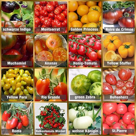 Tomato Seed Set 16 X 10 Seed Tomato Mix 100 Natural Seeds Handpicked