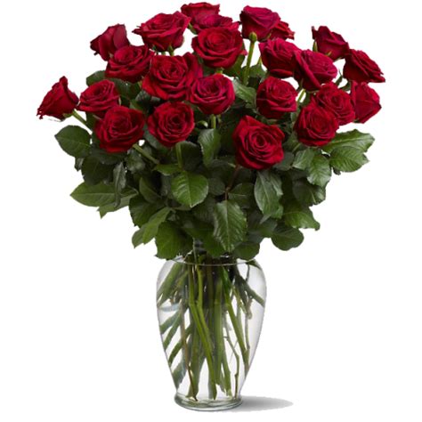 2 Dozen Red Roses In A Vase