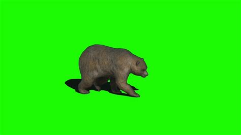 Animal Green Screen Vfx Exclusive Effects Download Free Youtube