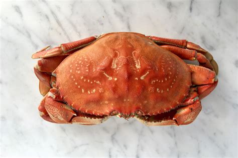 How To Clean Fresh Crabs Start With Fresh And Lively Crabs