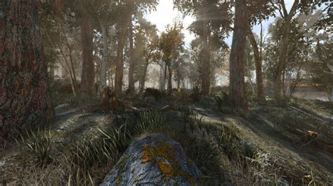 Another Pine Forest Mod 環境 Fallout4 Mod データベース Mod紹介・まとめサイト