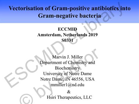 Vectorisation Of Gram Positive Antibiotics Into Gram Negative Bacteria Docslib