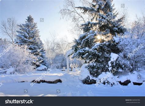 Beautiful Old Snowy Winter Morning Background Stock Photo