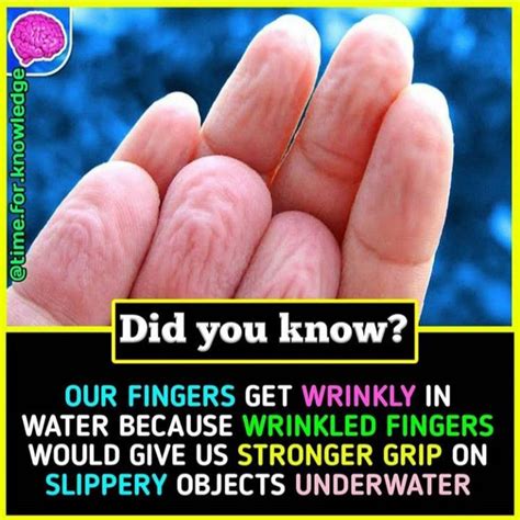 Did You Know True Interesting Facts Facts You Didnt Know Life Facts