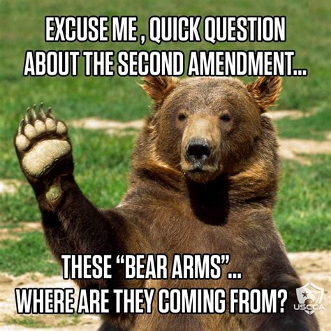 Pin By Christy Mckay On Say What Bear Arms Bear Funny