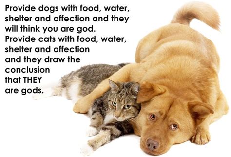 We Love This Quote Dogquote Catquote Cute Cats And Dogs Cat Vs