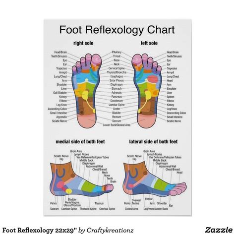 Foot Reflexology 22x29 Poster Reflexology Foot Chart Foot Massage