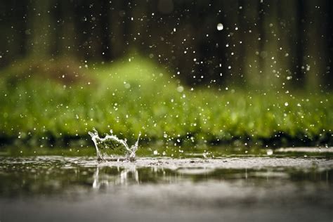 Rain Drops Love Background Images Nature Photography Photo
