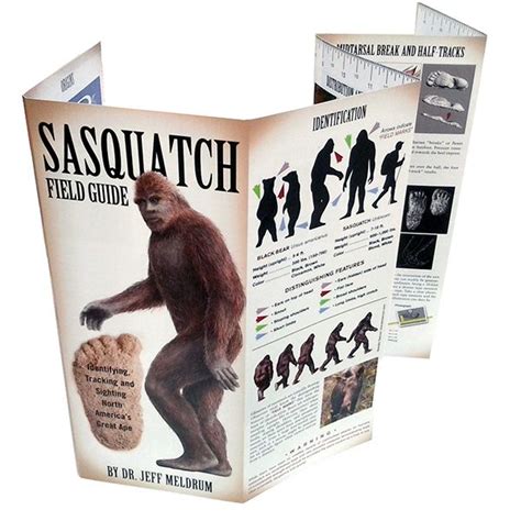Sasquatch Field Guide Field Guide Sasquatch Finding Bigfoot