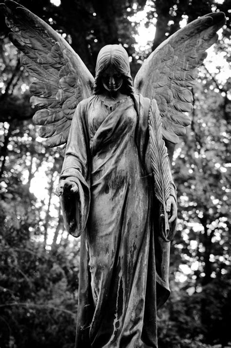 36 Best Gothic Cemetery Angel Statues Monuments Images On Pinterest
