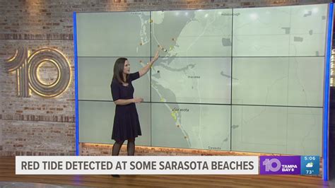 Elevated Levels Of Red Tide Confirmed At Some Sarasota County Beaches Wtsp Com