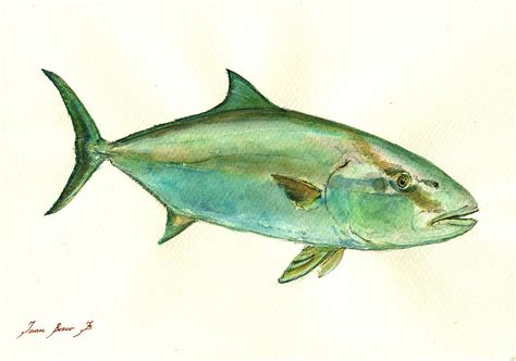 Greater Amberjack Fish Painting By Juan Bosco Pixels