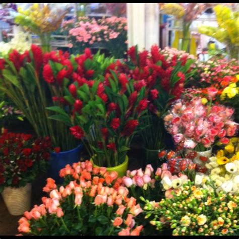 The other day, established in 1999, is on 25th november and is dedicated to returning to the link between mimosa and women's day, we try to explain why this custom and why the mimosa is the chosen flower. Flowers for women's day! | Ladies day, International ...