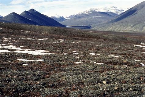 Increased Precipitation with Climate Change | Biology | Bates College