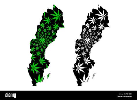 Sweden Map Is Designed Cannabis Leaf Green And Black Kingdom Of