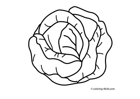 Cabbage vegetable coloring page for kids, printable | Vegetable coloring pages, Vegetable ...