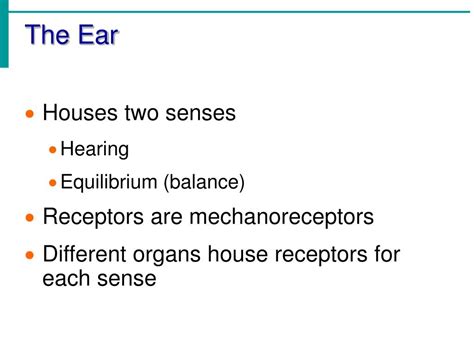 Ppt Chapter 8 Special Senses Hearing And Equilibrium Powerpoint