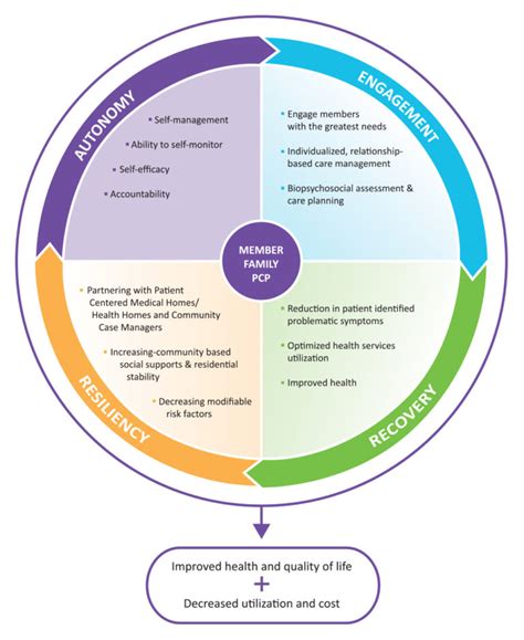 Integrated Care Management Diagram Chia Design