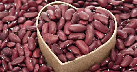 Find kidney bean manufacturers on exporthub.com. What Are the Health Benefits of Kidney Beans? | LIVESTRONG.COM