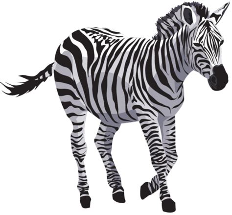 Zebra Quagga Clip Art Zebra Png Download 850788 Free Transparent