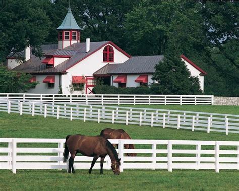 Horse barns and riding arenas | clearspan. Beautiful Barn! | Kentucky horse farms, Kentucky horse park, Horse farms