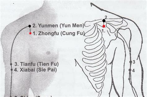 11 Effective Unknown Acupressure Points For Lung Problems