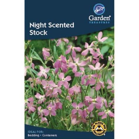 Night Scented Stock Seeds Click Save Smile