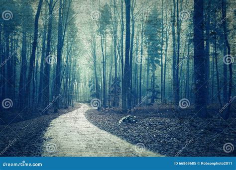 Textured Grunge Forest Landscape With Road Stock Photo Image 66869685