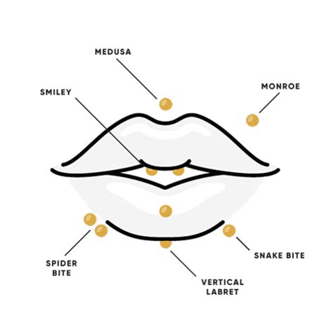 Lip Piercing Diagram