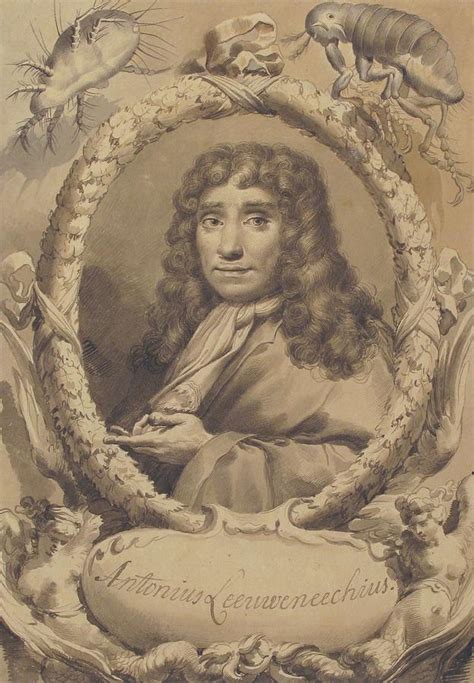 The Dutch Microscopist Anton Van Leeuwenhoek Drawing By Gaetano Gandolfi