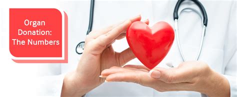 Organ Donation The Numbers Kdah Blog Health And Fitness Tips For