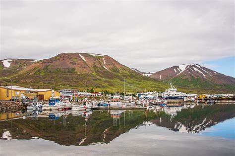 Dalvík The Affluent Fishing Town In The Northern Region