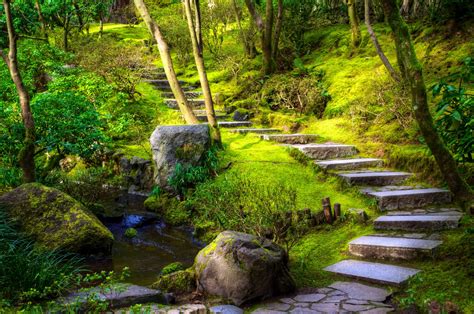 Download Stream Nature Stairs Grass Moss Photography Park 4k Ultra Hd