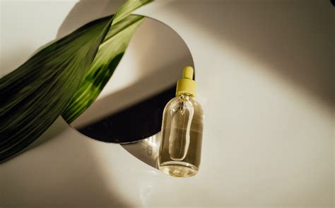 usos y beneficios del aceite esencial de eucalipto blog conjunto