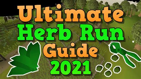 Osrs Ultimate Herb Farming Guide 2021 Youtube