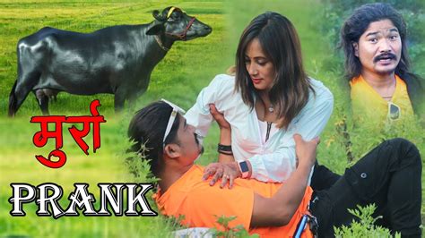 New Nepali Prank मुररा Got Prank म मिन्स भएछु यार Prank By Kapil Magar Youtube