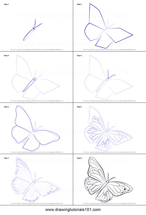 How To Draw A Monarch Butterfly Printable Step By Step Drawing Sheet