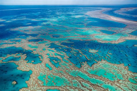 Amazing Facts About The Great Barrier Reef