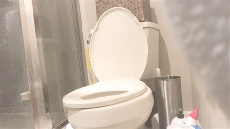 Bbw Toilet Clips Bm P Fart