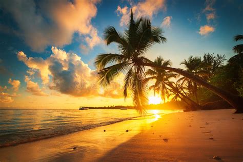 1579 Punta Cana Beach Landscape Sunrise Photos Free And Royalty Free